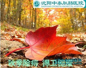 秋季除痔 捍卫健康